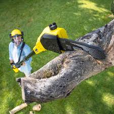 Best Lawn Watering Services  in Goleta, CA